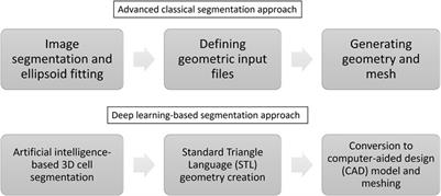 Contributions of deep learning to automated numerical modelling of the interaction of electric fields and cartilage tissue based on 3D images